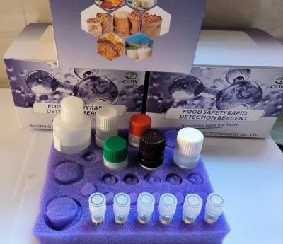 China Pufferfish Shrimp Tetrodotoxine TTX ELISA Test Kit Snelle detectietijd 1,5 uur Hoge hersteltijd 80-105% Te koop