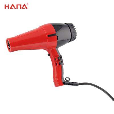 China Ionic Newcomer Professional Household Use AC Function Hair Dryer for sale