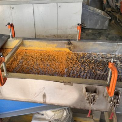 China XPE Foam Granulation Machine For XLPE EVA Polyethylene Cross-linked Pelletize for sale