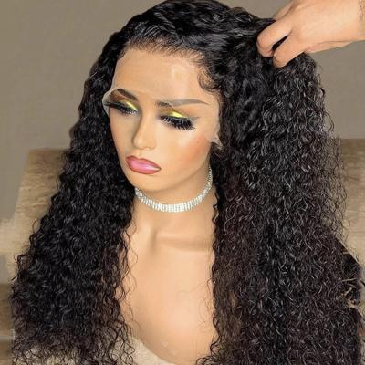 China Body Wave Pre Plucked Virgin Front Wig For Black Women 100% Human Hair Lace Front Wig Indian Curly Curly Full Lace Wig HD Full for sale