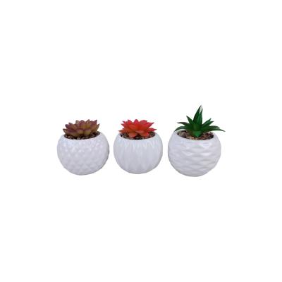 China High Quality Indoor Decoration New Products Garden Plants Flower Ceramic Pots For Succulent Plants for sale