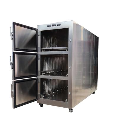 China Mortuary Forensic Use Mortuary Medical School Storage Mortuary Body Equipment 3 Body Freezer Embalming Freezer Mortuary Use 3 for sale