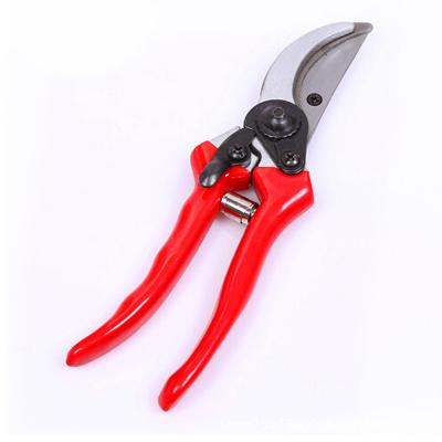 China Functional Garden Tools Garden Fruit Branch Shears Shears Fruit Branch Shears Gardening Tools for sale