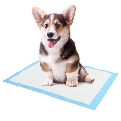 China Wholesale Pet Accessories Stocked Essential Dog Trains Diaper Disposable Super Absorbent Pee Pad Pet for sale