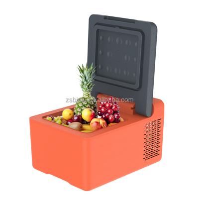 China 20~ +20 Degree Miniature Type Mini Car Cooler Box Super Small Refrigerators 9L For Car Home AC DC Dual Use for sale