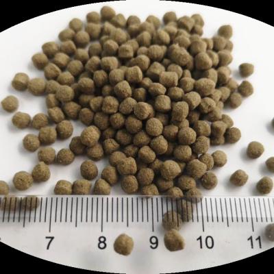 China Viable terrapin feed nutrition terrapin high protein feed added food aquatic plant spirulina terrapin turtle wholesale feed for sale