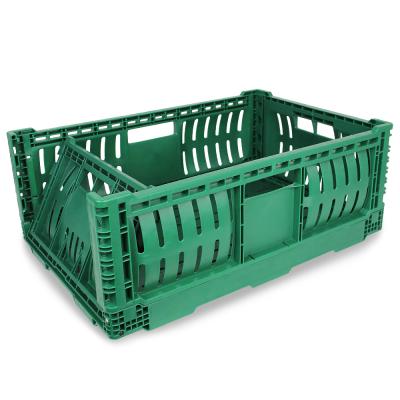 China New Durable Fruit Vegetable Storage Collapsible Plastic Crate For Milk Shipping Packing for sale