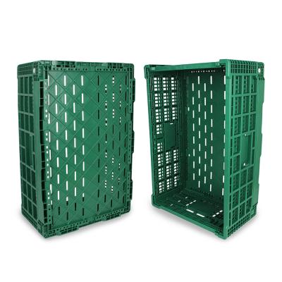 China Durable Wholesale Plastic Collapsible Fruit Crates Stackable Vegetable Container for sale