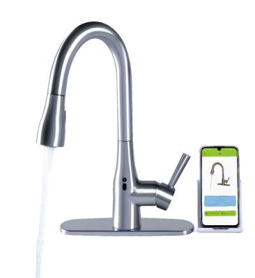 China Sense Faucets Touchless Kitchen Faucet With Water Quality Monitoring Temperature Display App Control Commercial Restaurant Kitchen Sink Set for sale