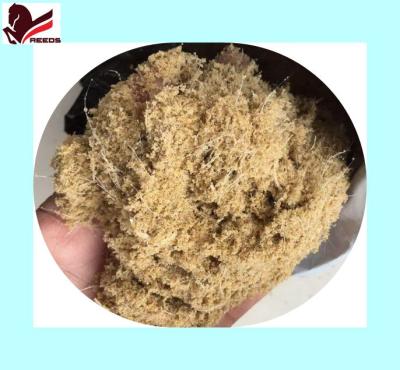 China High Elasticity Dressing Arena Fiber Surface Foot Mix for sale