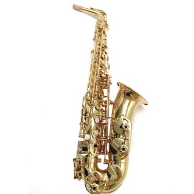 China Education Training Entertainment Performance OEM Manufacture EB Tone Student R54 Model Gold Lacquer Alto Saxophone for sale