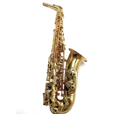 China Hot Selling Cheap Education Training Entertainment Performance Performance Price OEM Productions Saxophone Ref R54 Alto Saxophone for sale