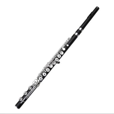 China Silver Plated White Brass Material High Quality Flute Viola Easy Play Groove For Professional for sale