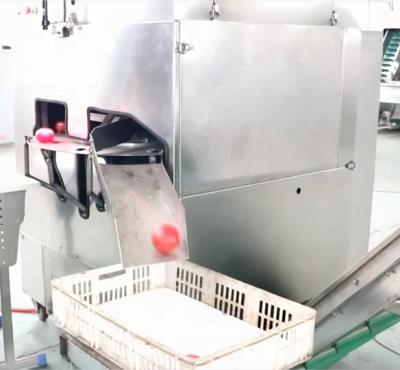 China food & Beverage Factory Tomato Cutting Machine for sale