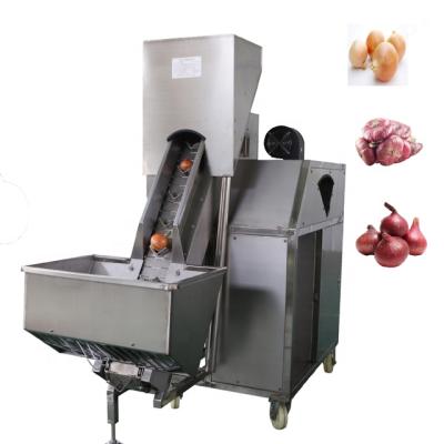 China food & Beverage Factory Automatic Single Belt Onion Peeling Machine for sale