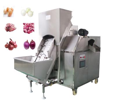 China Double belts onion peeling machine SQY-YB-2 for sale