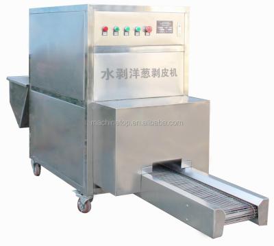 China Water Peeling Onion Peeling Machine RJY for sale