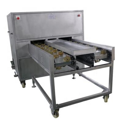 China food & Beverage Plant Garlic Root Cutting Machine for sale