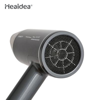 China PAIN Ionic Double CD Protection Fashion Home Salon Hotel Bathroom Overheat Hair Dryer for sale