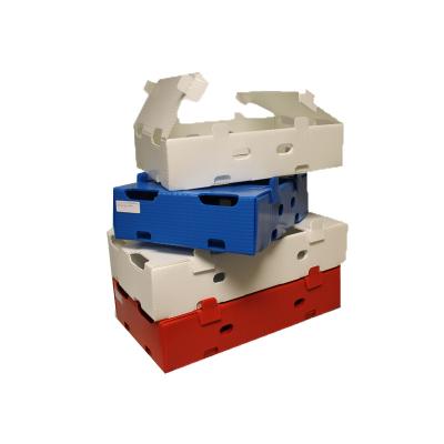 China Factory Recyclable Directly Supply Delivery Correx High Quality Plastic Corrugated Plastic Box for sale