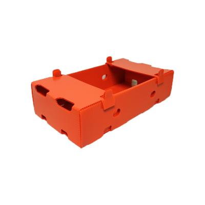 China China Recyclable Factory Selling High Quality Low Price Corrugated Polypropylene Plastic Moving Box for sale