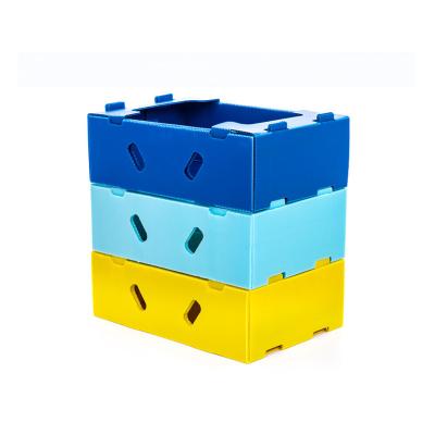 China Recyclable Newcomers Wholesale New Design High Quality Corrugated Plastic Bankers Box for sale