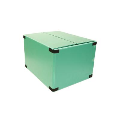 China Recyclable Factory Directly Supply Coroplast High Quality Corrugated Plastic Container Seafood Boxes for sale