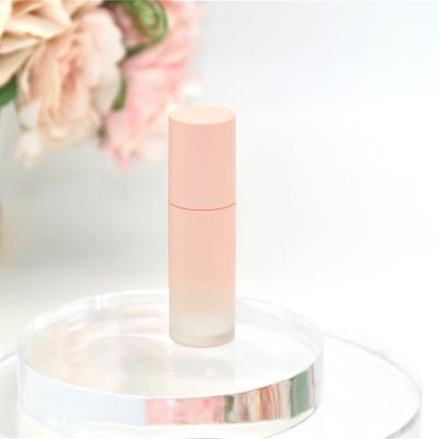 China High Quality Customized Cosmetic Packaging PETG Lip Mud Packaging Empty Plastic LIP Mud Tube for sale