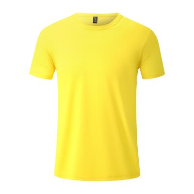 China China Men's Sport T-shirt Polyester Plain Custom Soft Quick Dry Blank T-shirt Functional 100% Common Wear T-shirt for sale