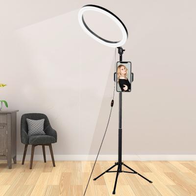 China Dimmable 13Inch 18W LED Ring Lamp Light With Tripod Stand Shine Photography Studio Camera Video Lighting for sale