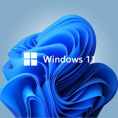 China Windows 11 pro key system software oem digital genuine dvd windows 11 pro system software activation email delivery global online license professional sticker instant for sale