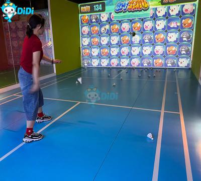 Китай DIDI Профессиональные Indoor AR Спорт Бадминтон Indoor Ball Games продается