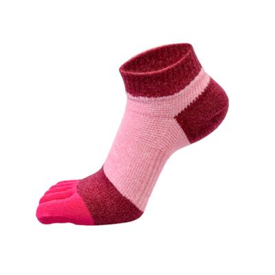 China Custom Made Cotton Toe Lady Athletic Sweat-absorbent Socks for sale