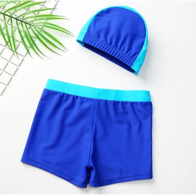 China High quality baby boy swimwear fashion baby boy swimwear boy size popular children's swimwear plus shorts for sale