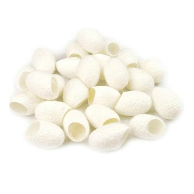 China Clean Face Silkworm Cocoon Eco - Friendly Organic Natural Beauty for sale