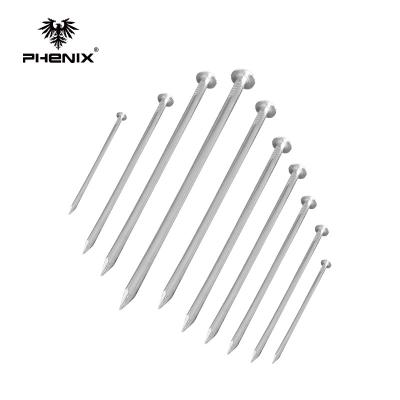 China Assorted Common Nails Standard Head Common Nails Metal Nail for sale