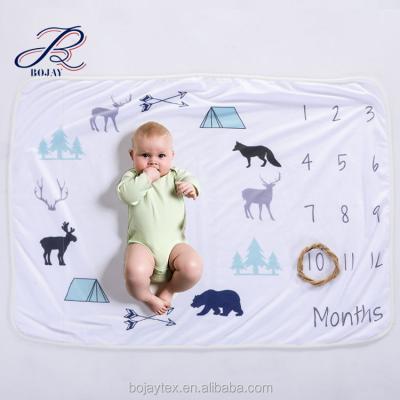 China Anti-pilling Personalized Baby Milestone Blanket Fleece Blanket Photography Backdrop Month Baby Shower Gift By Newborn Growth Chart for sale