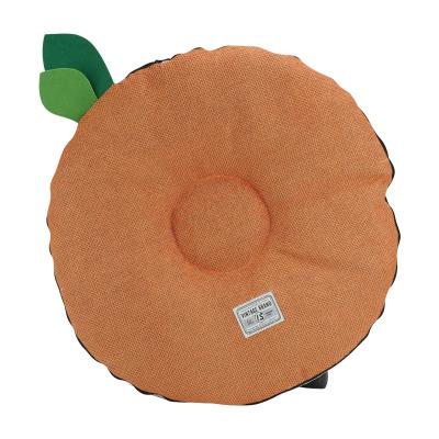 China Stored Energetic Friends Fast Shipping Wholesale Hot Sales Cute Orange Shape Reversible Mat For Puppy And Kitten for sale