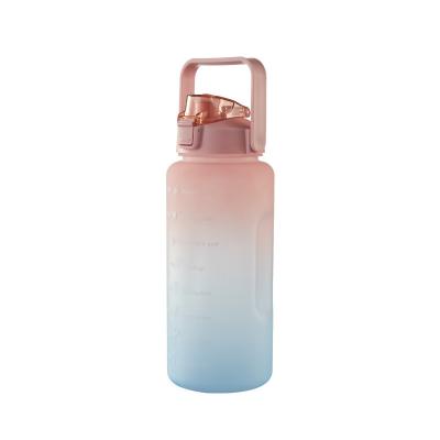 China Sustainable Portable Outdoor Plastic Custom Drinks Bottle Large Capacity With Ladder For Fitness Gym Sports for sale