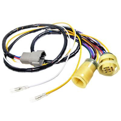 China Custom Automotive Headlight Wire Harness DTM04-08P German Auto Connector Cable for sale