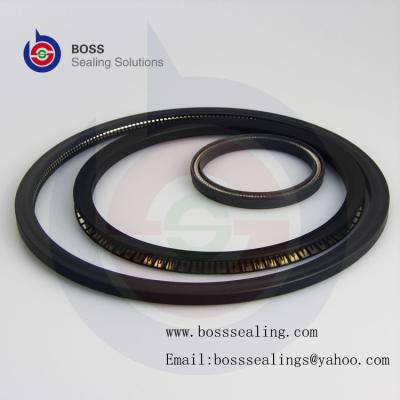 China PTFE/ Spring Energized Seal,F4 Spring Energized Seals,Spring Energized PTFE Seals for sale