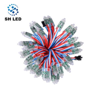 China Fairground Decoration WS2811 DC5V DC12V 12MM Full Color Led Pixel Light String for sale