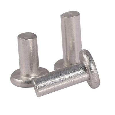 China Auto industry design fashionable solid stainless steel rivet for home appliance for sale