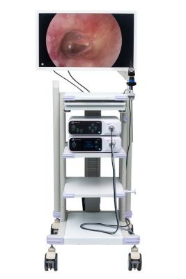 Chine Écran de visualisation chirurgical pour la caméra d'Endoscope moniteur médical d'endoscopie de 27 pouces à vendre