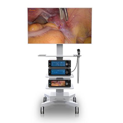 중국 복강경 수술을 위한 극단적 4K 의학 내시경 카메라 시스템 탑 DEC3840A 판매용
