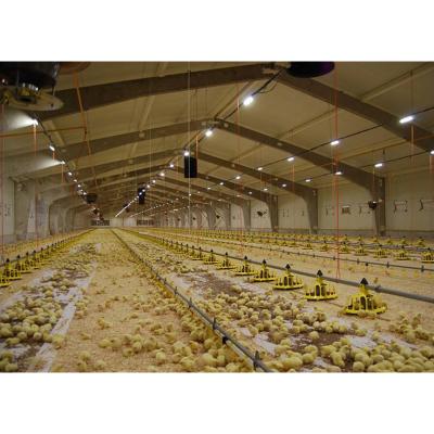 China Steel Fabricated House Chicken Farm Poultry Farm Housing Design for sale