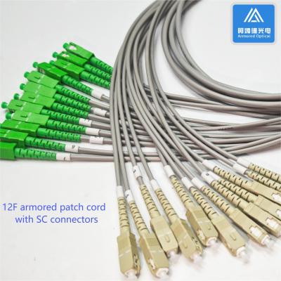 China 12 Core Sc Apc Fiber Patch Cable 2m Sc Upc Sc Upc Simplex 6.5mm Grey PVC for sale