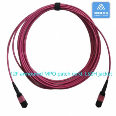 China 12F Armored MPO Patch Cord 5m 3.0mm LSZH 12 Core Fiber Optic Cable for sale