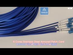 6 cores stainless steel armored patch cord fc-lc-30m blue pvc 5.0mm rodent resistant