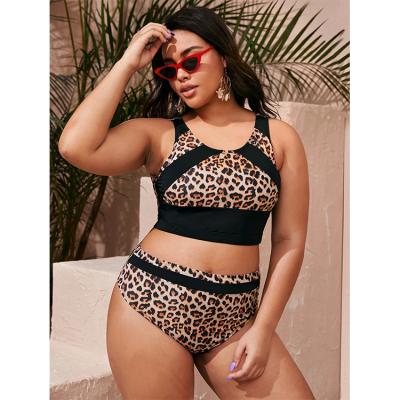 China New Fashion Sporty Two Piece Print Plus Size Swimsuit Inclusive Sizing Size Leopard High Plus Size Bather Bathing Suits Manufacturer for sale